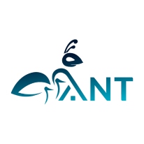 Logo Nội Thất ANT