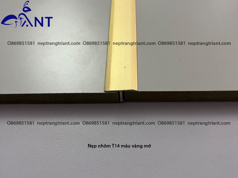 nẹp nhôm t14 màu vàng mờ